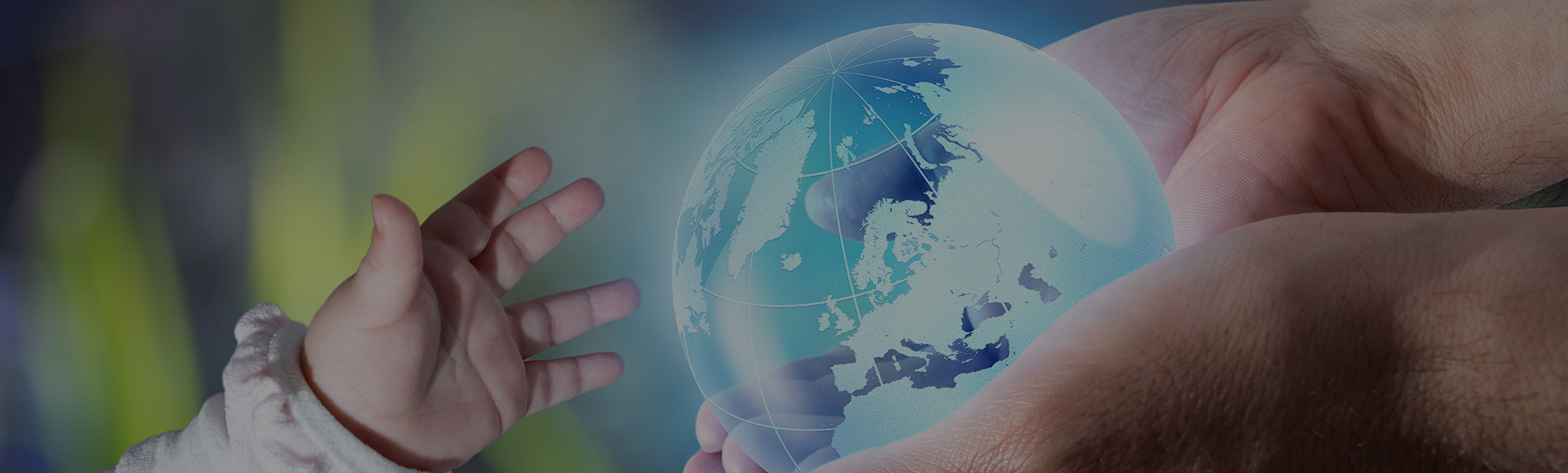 ����(w��)�(xi��ng)Ŀ